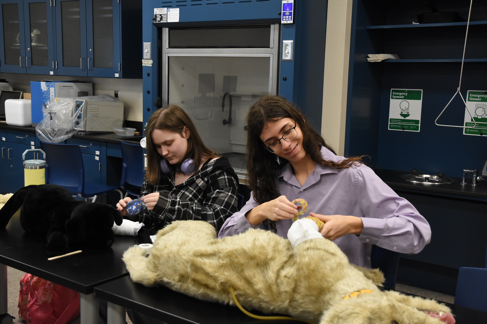 Students learn how to fix a “dog’s” hurt paw at RCSJ STEM Discovery Day