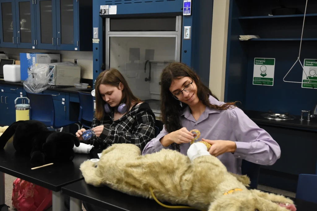 STEM day