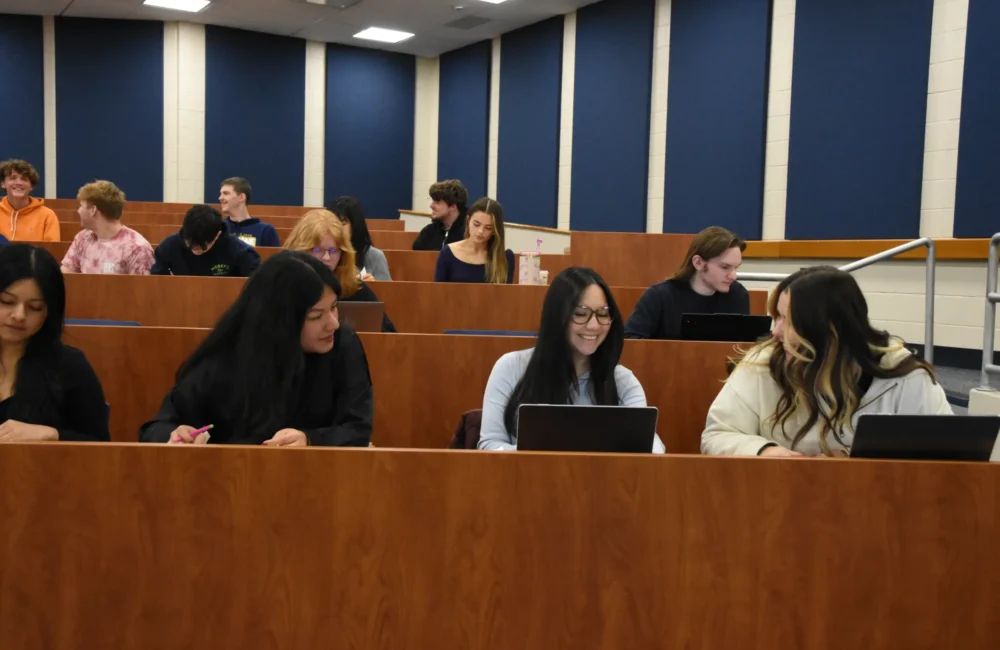 Accounting COA DSC