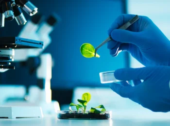 Biology: Bioscience Technologies Option