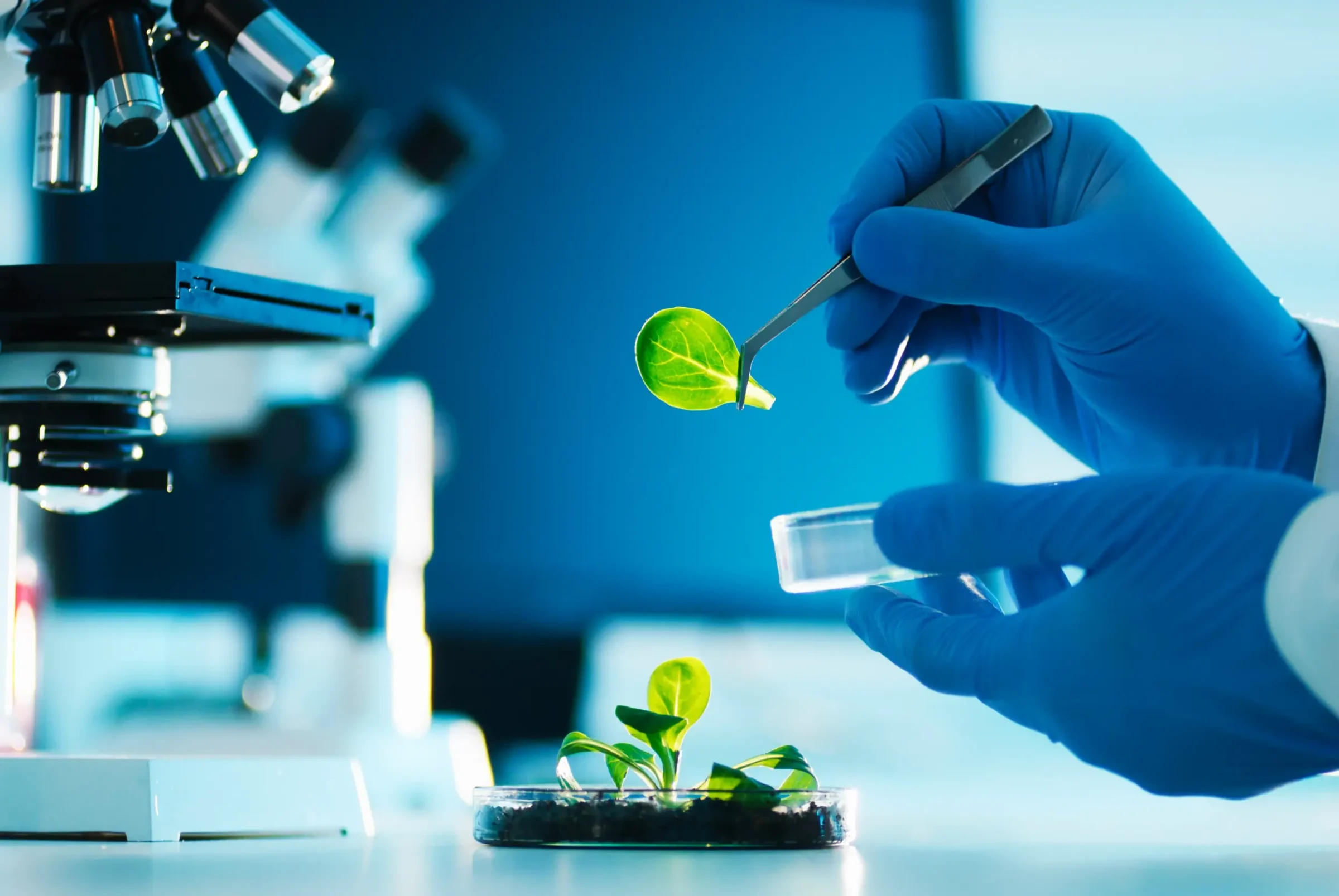 Rowan College of South Jersey | Biology: Bioscience Technologies Option