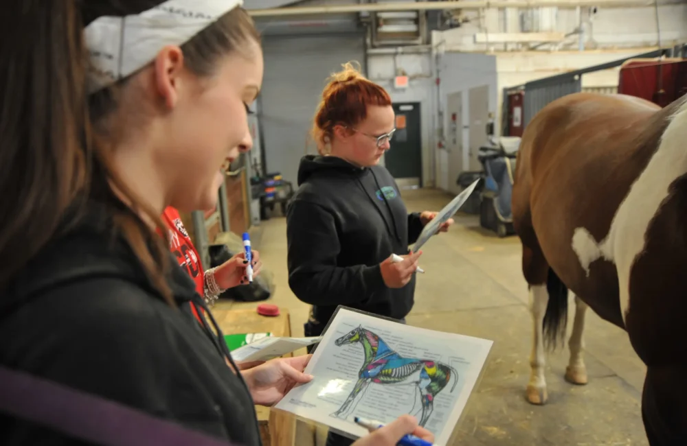 Equine Science 1 DJC