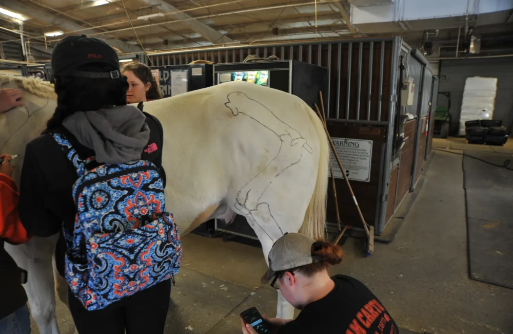 Equine Science 2 DJC