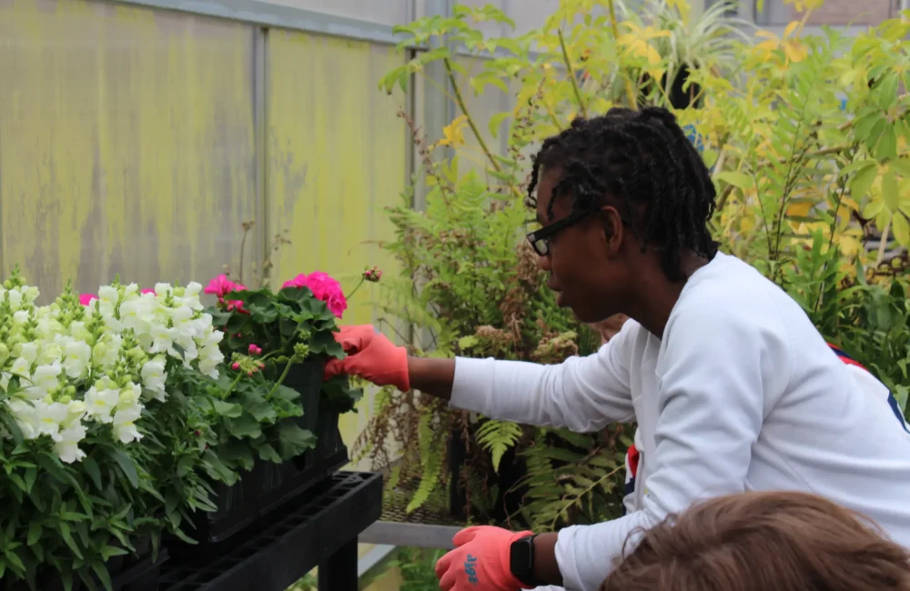 Horticulture