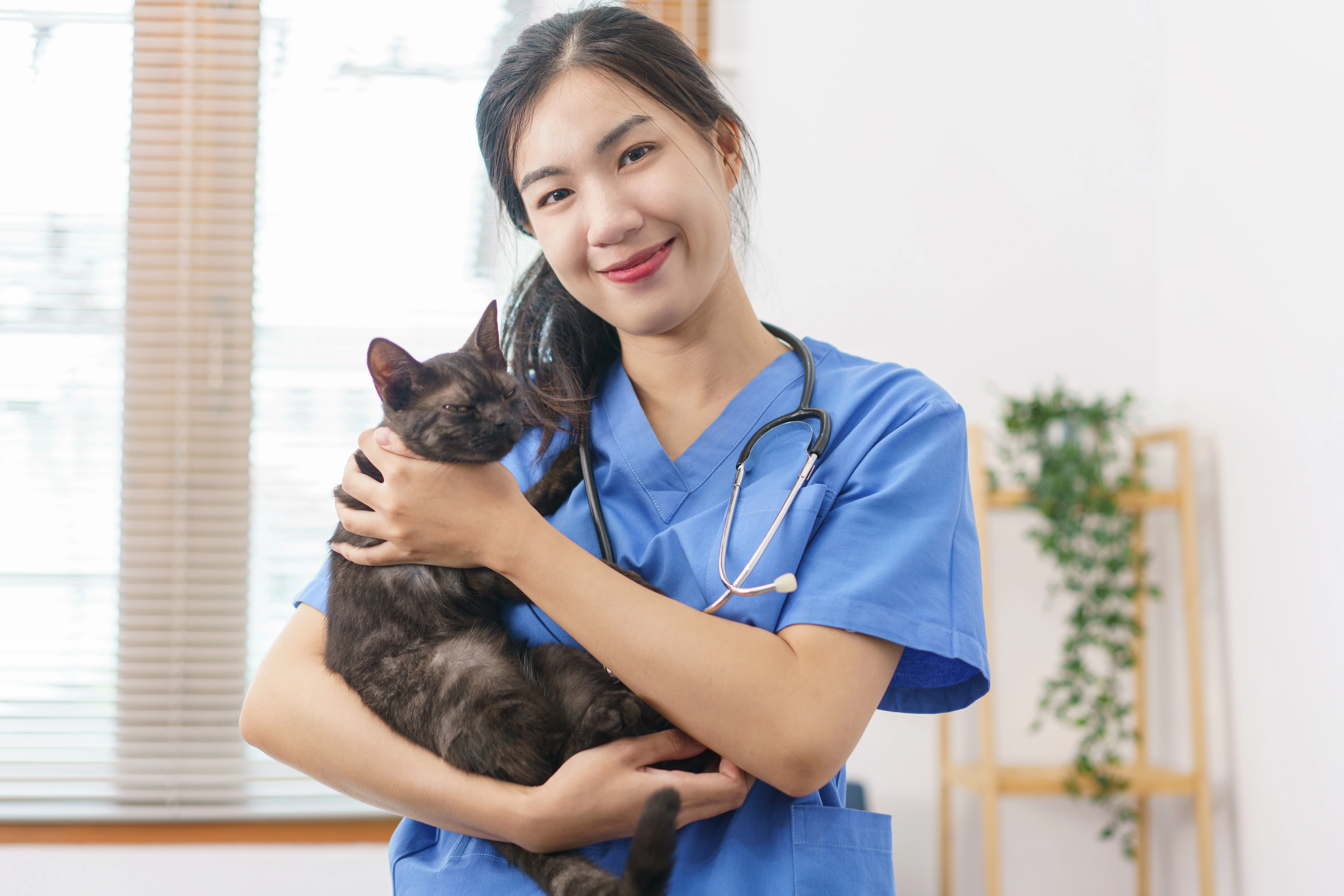 VeterinaryCareMain Depositphotos 583090544